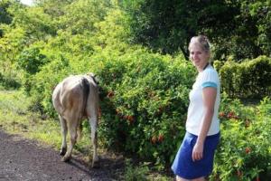 Martina Hirschmeier ist beeindruckt wo Tiere überall weiden können - in Ciha werden die Kühe einfach am Straßenrand befestigt.