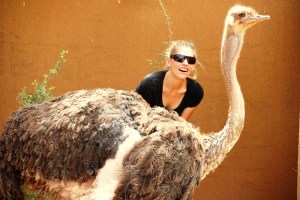 Fasziniert betrachtet die Moderatorin Frau Schlaumeier den Afrikanischen Strauß. 