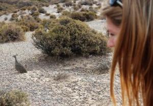 58. Tier Martineta Die kleinen Steißhühner mit Namen Martineta faszinieren die Moderatorin Martina Hirschmeier.