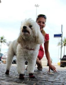Ein Hund mit Schuhen! An der Copa Cabana keine Seltenheit, wie Martina Hirschmeier erfährt.